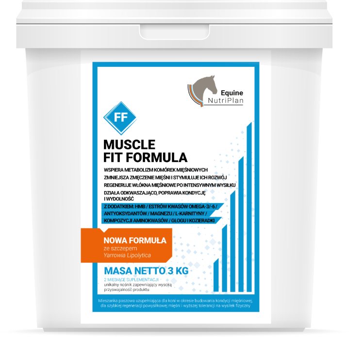 MUSCLE FIT FORMULA (3KG)